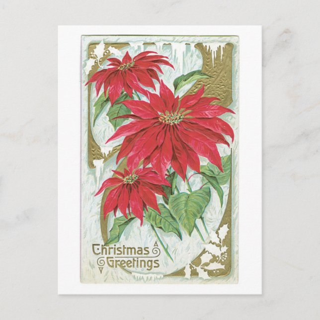 Old-fashioned Christmas, Poinsettia Holiday Postcard (Front)