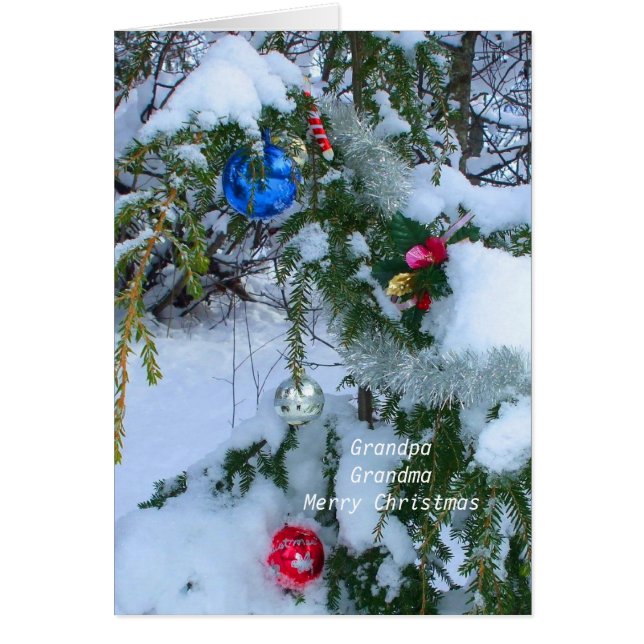 Old fashioned Christmas Tree Cards (Front)