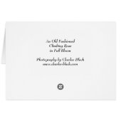 Old Fashioned Climbing Rose Cards (Back Horizontal)