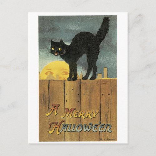 Old_fashioned Halloween Black cat  Full moon Postcard