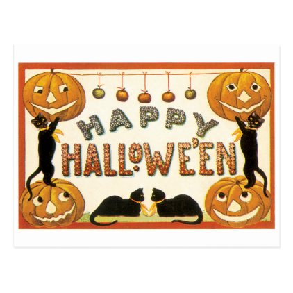 Old-fashioned Halloween, Black cats Postcard