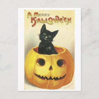 Old-fashioned Halloween Jack-o'-lantern, Black cat Postcard
