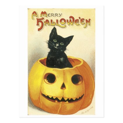 Old-fashioned Halloween Jack-o'-lantern, Black cat Postcard