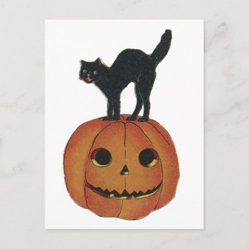 Old Fashioned Halloween Jack_O_Lantern  Black Cat Postcard