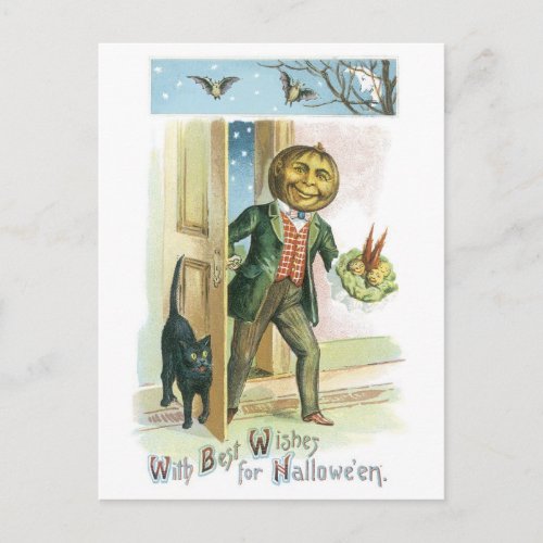 Old_fashioned Halloween Pumpkin man Postcard