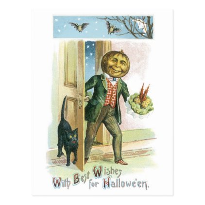 Old-fashioned Halloween, Pumpkin man Postcard