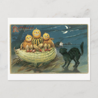 Old-fashioned Halloween, Pumpkins & Black cat Postcard