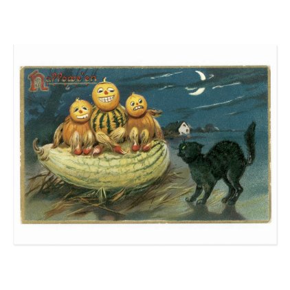 Old-fashioned Halloween, Pumpkins & Black cat Postcard