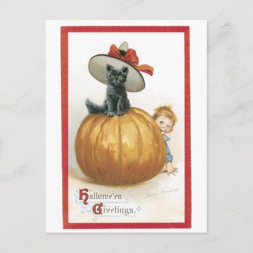 Old_fashioned Halloween Witch cat Postcard