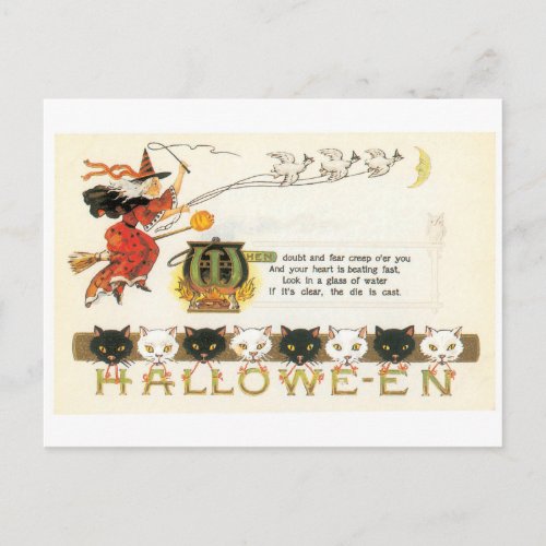 Old_fashioned Halloween Witch  Cats Postcard