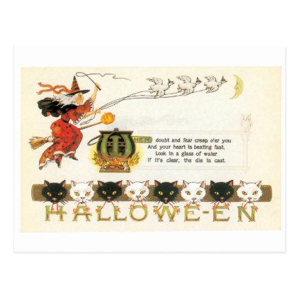 Old-fashioned Halloween, Witch & Cats Postcard