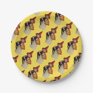 Old-fashioned Halloween, Witch girl with Black cat Paper Plates