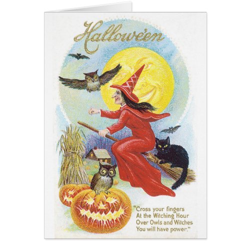 Old_fashioned Halloween Witch  Owl