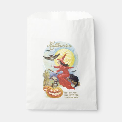 Old_fashioned Halloween Witch  Owl Favor Bag