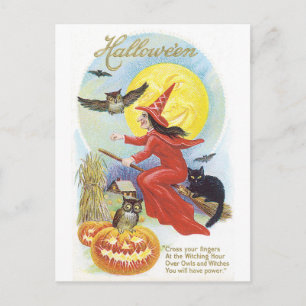 Old-fashioned Halloween, Witch & Owl Postcard
