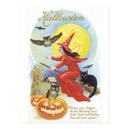 Old-fashioned Halloween, Witch & Owl Postcard