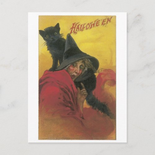 Old_fashioned Halloween Witch with Black cat Postcard