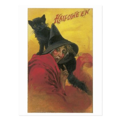 Old-fashioned Halloween, Witch with Black cat Postcard