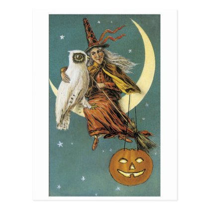 Old-fashioned Halloween, Witch with Owl Postcard