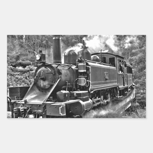 Old Fashioned Narrow Gauge Steam Train Rectangular Sticker (Front)