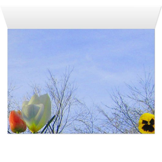 Old Fashioned Raisin Bread Recipe Card (Inside Horizontal (Bottom))