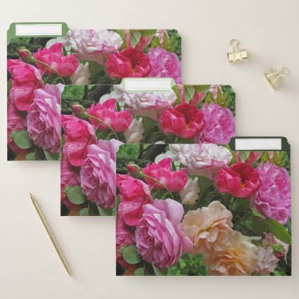 Old Fashioned Rose Garden Flowers File Folder Set