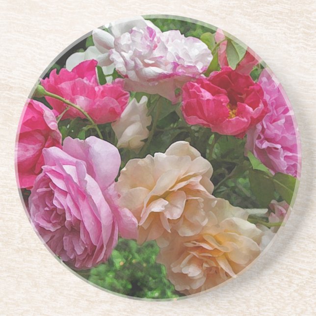 Old Fashioned Roses Sandstone Coaster (Front)