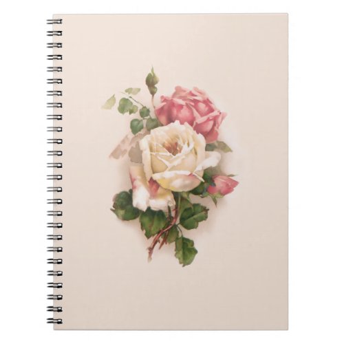 Old Fashioned WhitePink Roses_Buff Background Notebook