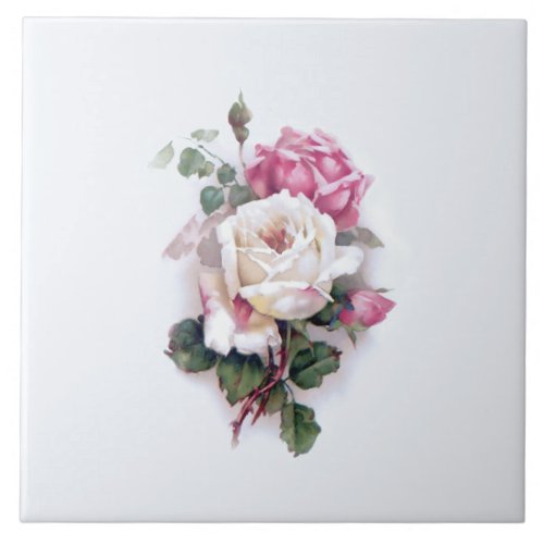 Old Fashioned WhitePink Roses_White Background Ceramic Tile