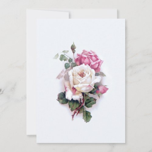 Old Fashioned WhitePink Roses_White Background Note Card