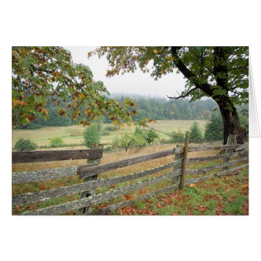 Old Fence On A Farm Cards (Front Horizontal)