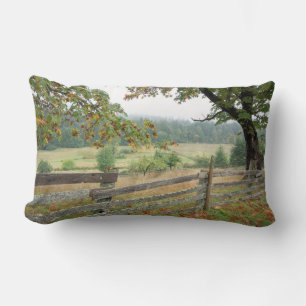Old Fence On A Farm Lumbar Pillow
