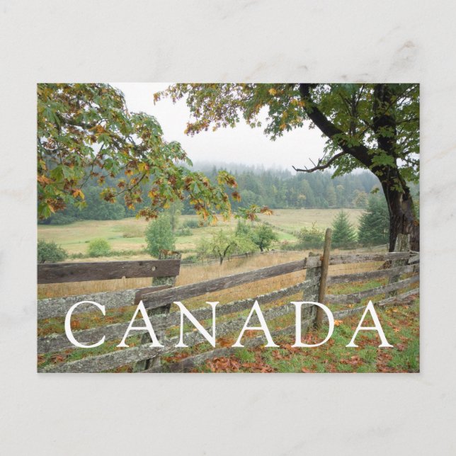 Old Fence On A Farm Postcard (Front)