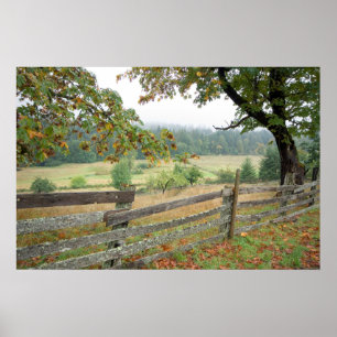 Old Fence On A Farm Poster