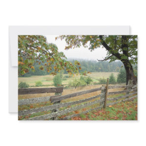 Old Fence On A Farm Thank You Card