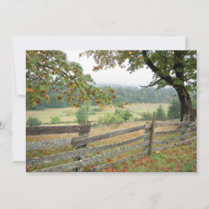 Old Fence On A Farm Thank You Card