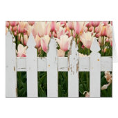 old fence with tulips cards (Front Horizontal)