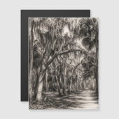 Old Florida Oak Hammock Graphite Sketch | Rockledg (Front/Back)