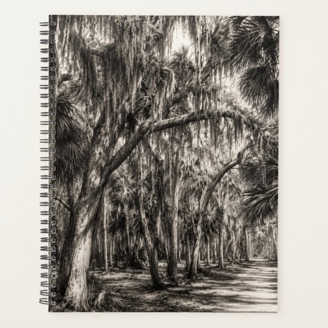 Old Florida Oak Hammock Graphite Sketch | Rockledg Planner (Front)