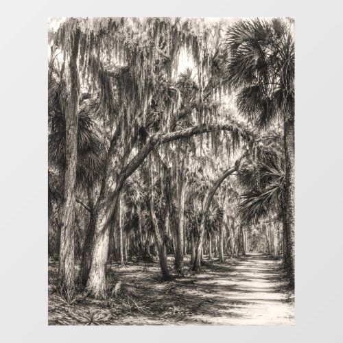 Old Florida Oak Hammock Graphite Sketch | Rockledg Wall Decal