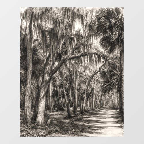 Old Florida Oak Hammock Graphite Sketch | Rockledg Window Cling