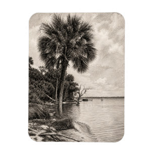 Old Florida Shoreline Graphite Sketch Rockledge Magnet
