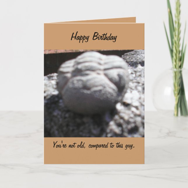 OLD FOSSIL FACE birthday card (Front)
