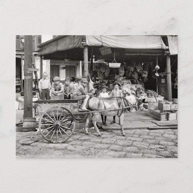 Old French Quarter Market Postcard (Front)