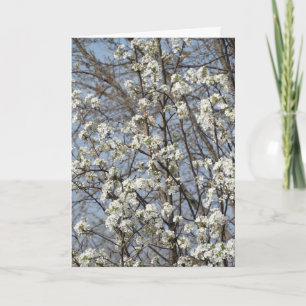 Old Friend Through The Seasons of Life Letterpress Thank You Card