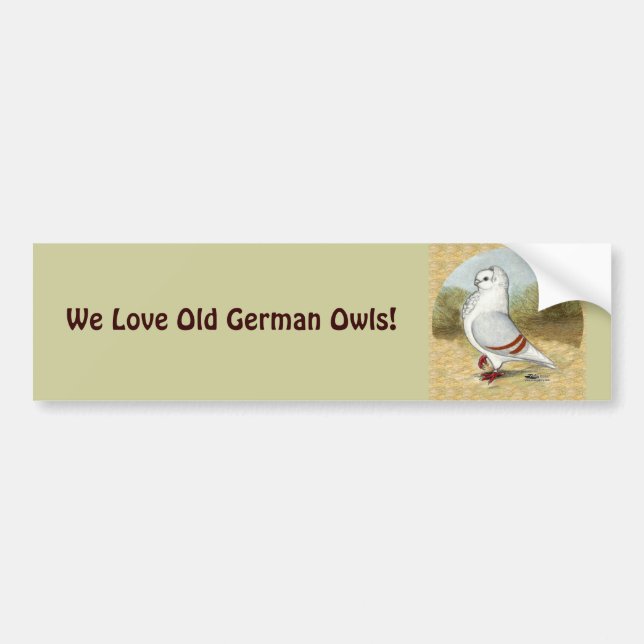 Old German Owl Pigeon In the Round Bumper Sticker (Front)