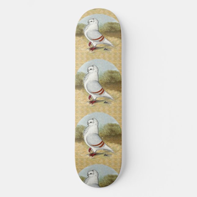 Old German Owl Pigeon In the Round Skateboard Deck (Front)
