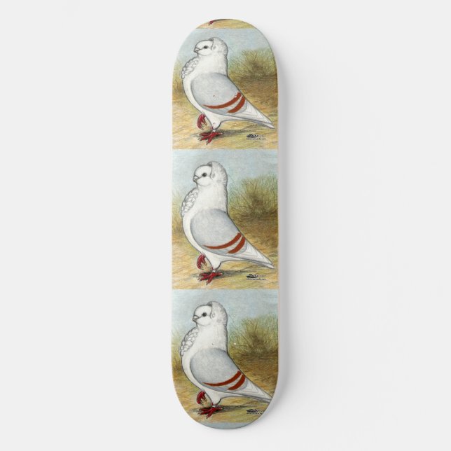 Old German Owl Pigeon Standing Tall Skateboard Deck (Front)
