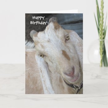 Old Goat Birthday Card - Easily Personalize Text by CatsEyeViewGifts at Zazzle