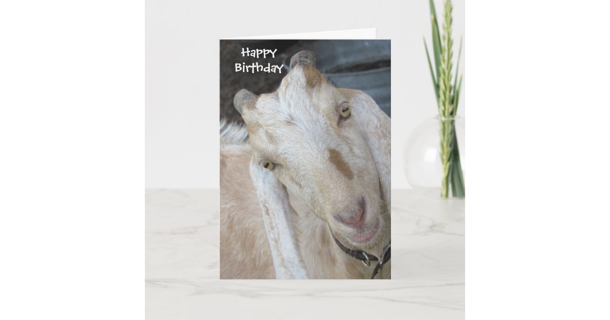 Old Goat Birthday Card - Easily Personalize Text | Zazzle